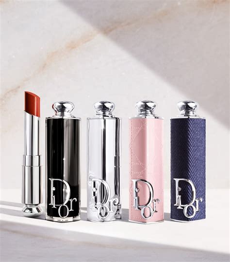 dior lipstick fashion case|Dior lipstick collection case.